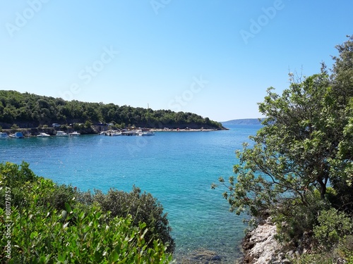 Fototapeta Naklejka Na Ścianę i Meble -  Stunning View of Turquoise Sea from Krk, Croatia: Lush Greenery and Brilliant Blue Sky