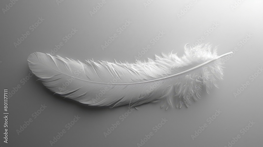   Close-up of a white feather against a gray backdrop, mirrored by its reflection on the reverse side