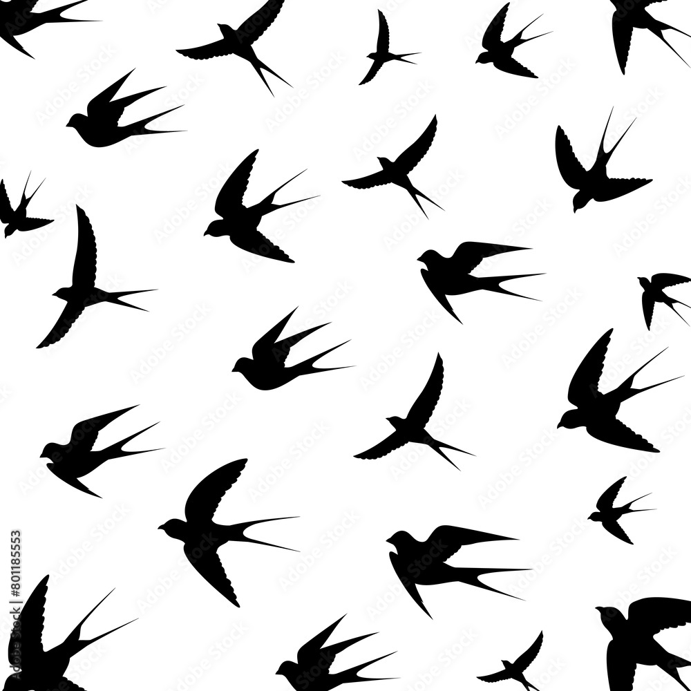 Birds are flying 1