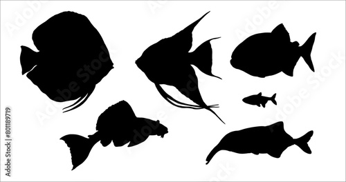 Silhouette drawing with South American fish. Vector illustration with Amazon river fish.