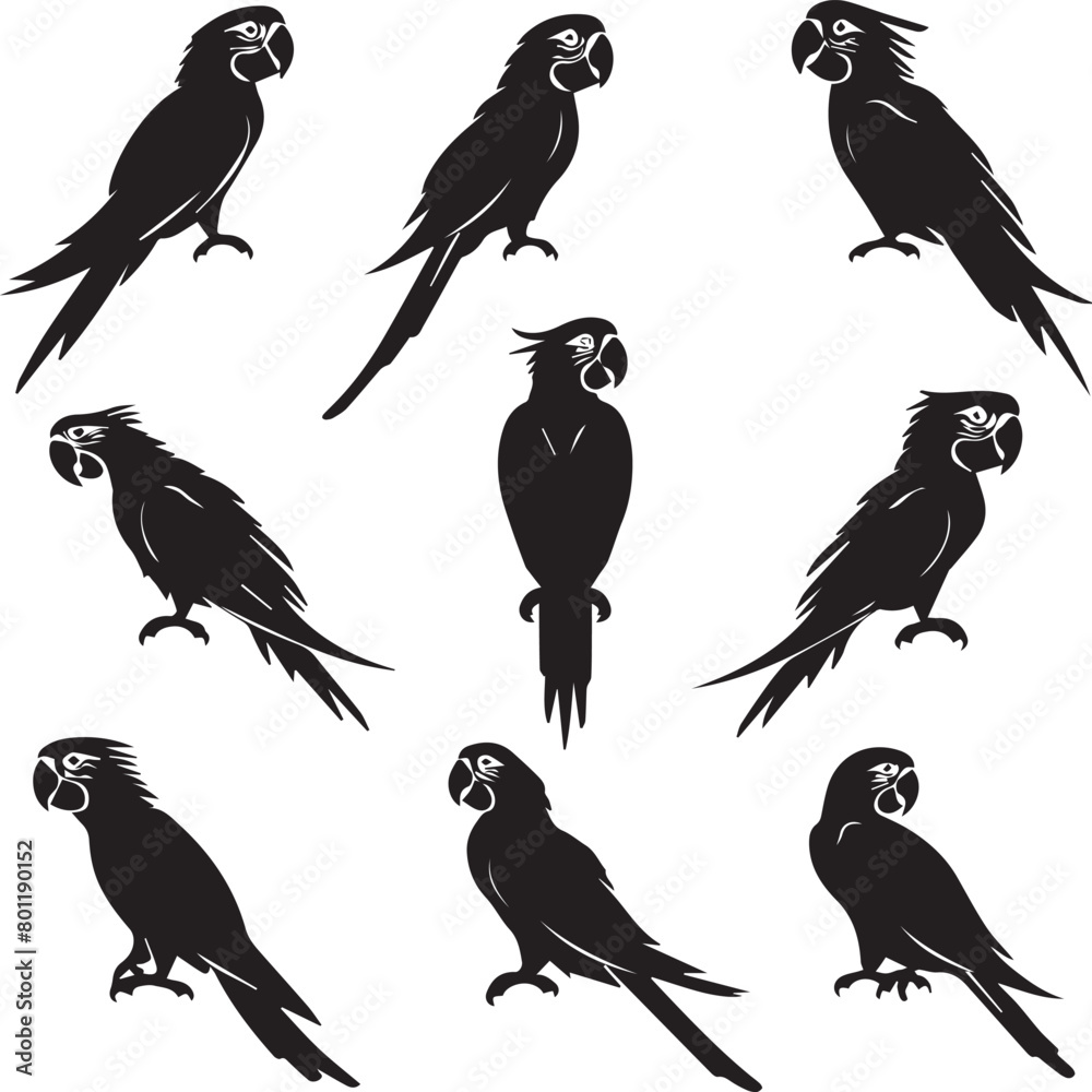 set of parrots set of parrots