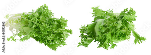 Fresh green leaves of endive frisee chicory salad isolated on white background with  full depth of field photo