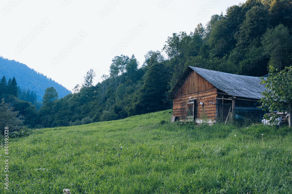 Wooden hotel in Carpathian mountains. Location: Zakarpattya region, Ukraine