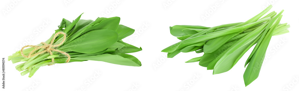 Ramson bunch vegetable isolated on white background with full depth of field Ramson bunch vegetable isolated on white background with full depth of field