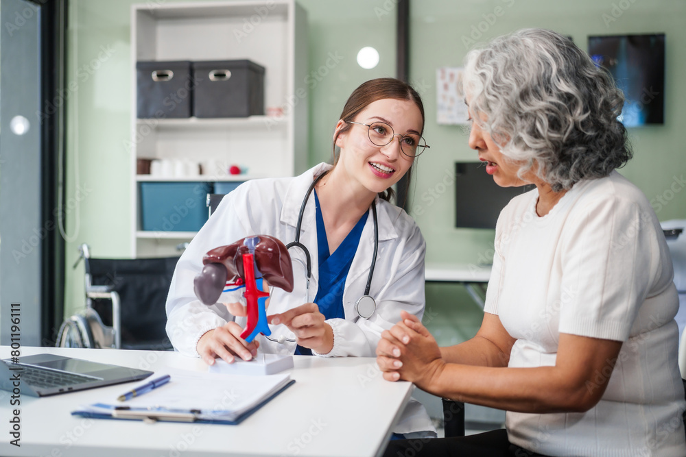 Caucasian woman accompanies an elderly Asian woman dealing with Hepatitis B, cirrhosis, and liver cancer. They seek medical advice and support together. Liver model learning Caucasian woman accompanies an elderly Asian woman dealing with Hepatitis B, cirrhosis, and liver cancer. They seek medical advice and support together. Liver model learning