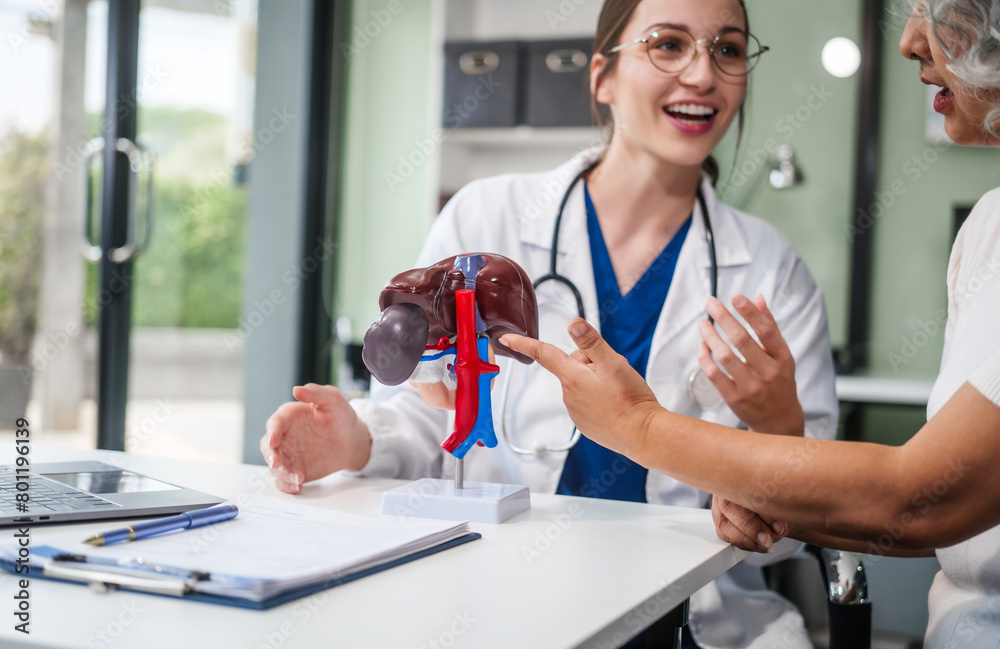 Obraz premium Caucasian woman accompanies an elderly Asian woman dealing with Hepatitis B, cirrhosis, and liver cancer. They seek medical advice and support together. Liver model learning
