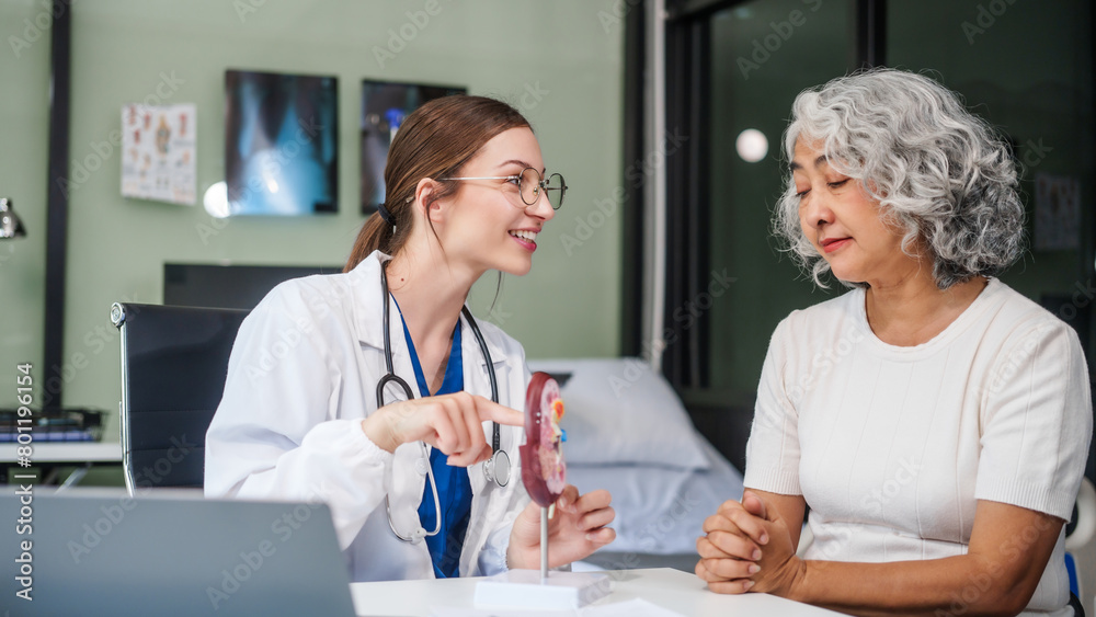 Caucasian woman sits at a desk, kidney model, gallstones, glomerulonephritis, acute and chronic kidney disease, infectious diseases, abnormal ureters, cysts, and urinary system cancer. Caucasian woman sits at a desk, kidney model, gallstones, glomerulonephritis, acute and chronic kidney disease, infectious diseases, abnormal ureters, cysts, and urinary system cancer.