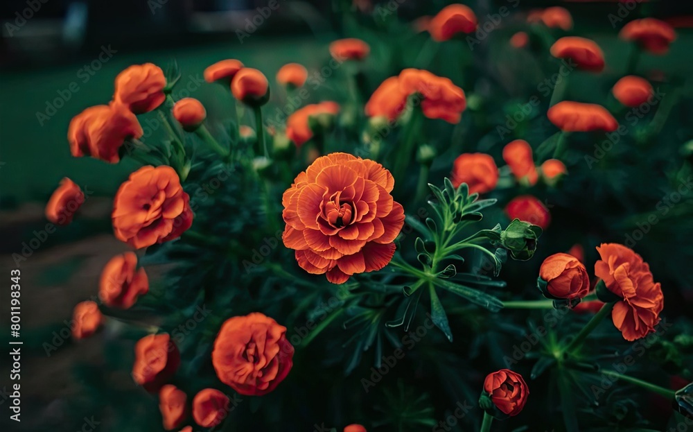 A collection of vibrant orange flowers blooming together in a garden setting. Generative AI A collection of vibrant orange flowers blooming together in a garden setting. Generative AI