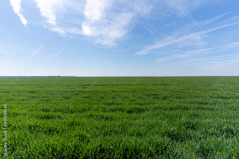 green field and blue sky green field and blue sky