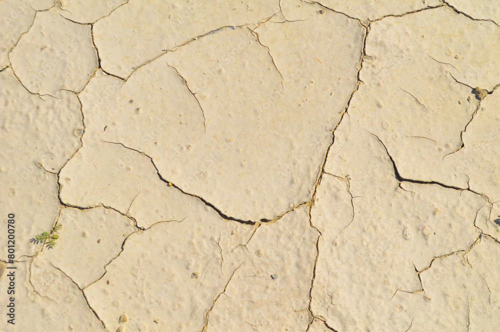 Fototapeta premium cracked earth texture, dry land outdoor summer season