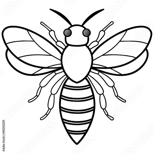 bee vector design 