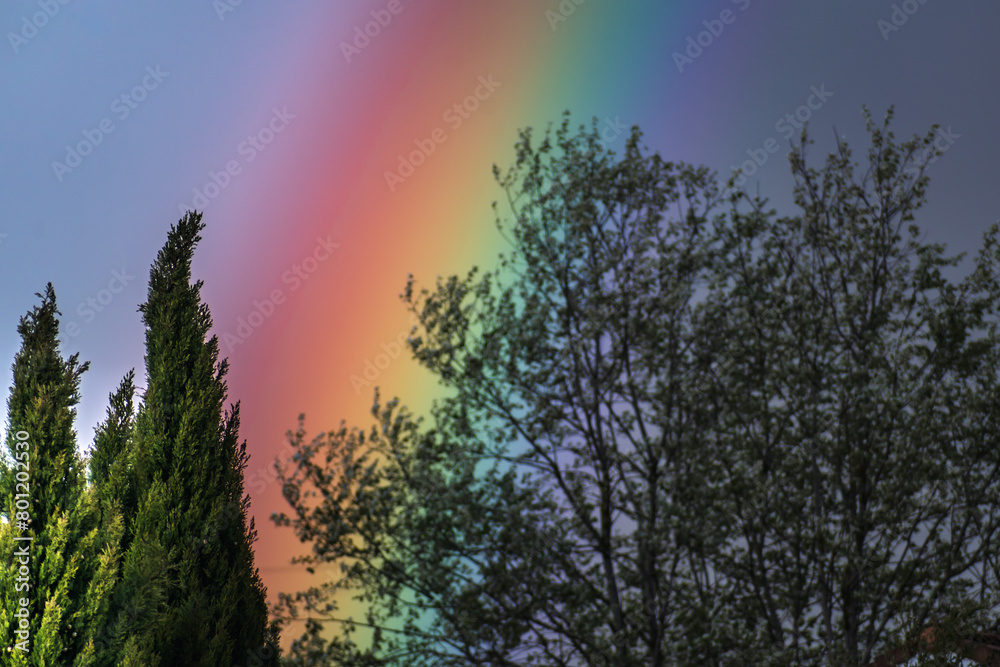 Fototapeta premium Rainbow on a spring day thanks to the rain and the sun