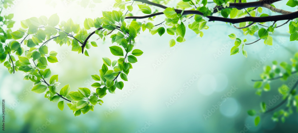 Green Leaves and Branches Forming the Shape of Heart, Love Nature Concept Green Leaves and Branches Forming the Shape of Heart, Love Nature Concept