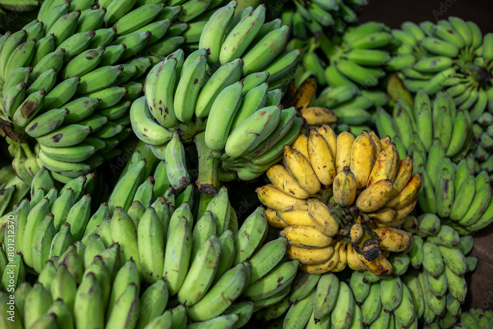 Selective focus. Lots of bananas piled up in the banana market. There are ripe yellow bananas Selective focus. Lots of bananas piled up in the banana market. There are ripe yellow bananas