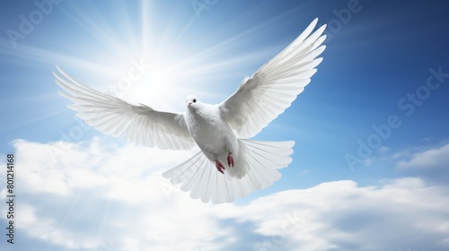 a white dove flying on the light blue sky background © Юлия Касаткина
