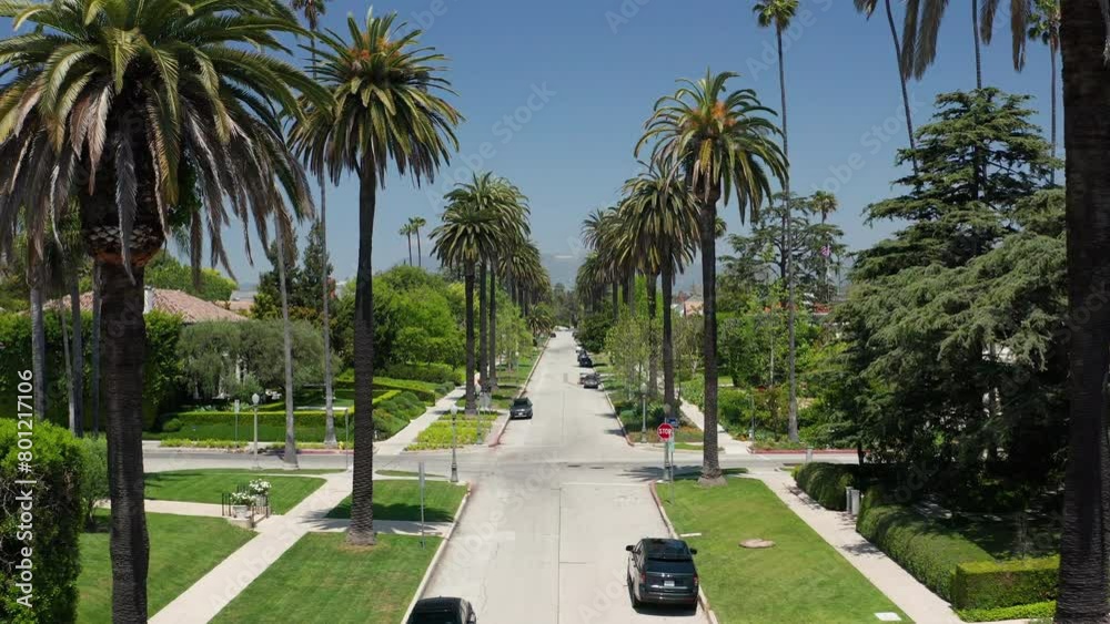 Los Angeles sunny day palm trees Hollywood sign cars road homes green trees