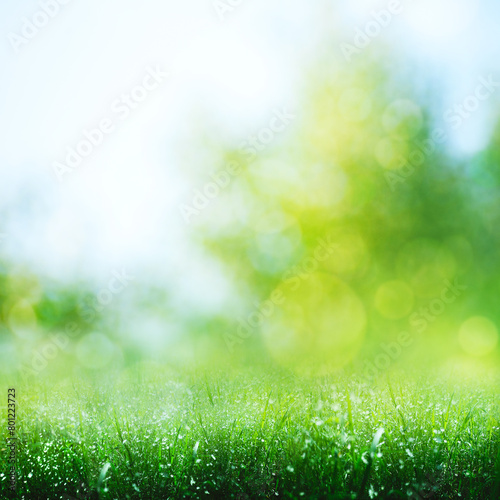 Summer meadow under bright sunlight  abstract seasonal backgrounds