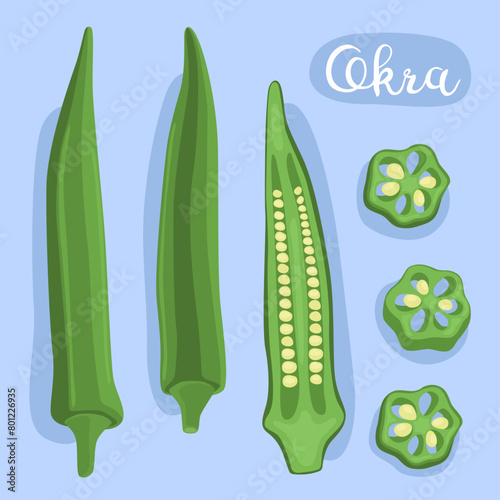 Okra. Bamia. Abelmoschus esculentus, lady's fingers.  Vegetable, cooking ingredient. Illustration. Natural dietary edible plant, healthy vegetarian food. Asian vegetable. 

