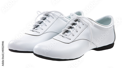 the Martial Arts Shoes on Tranparant background