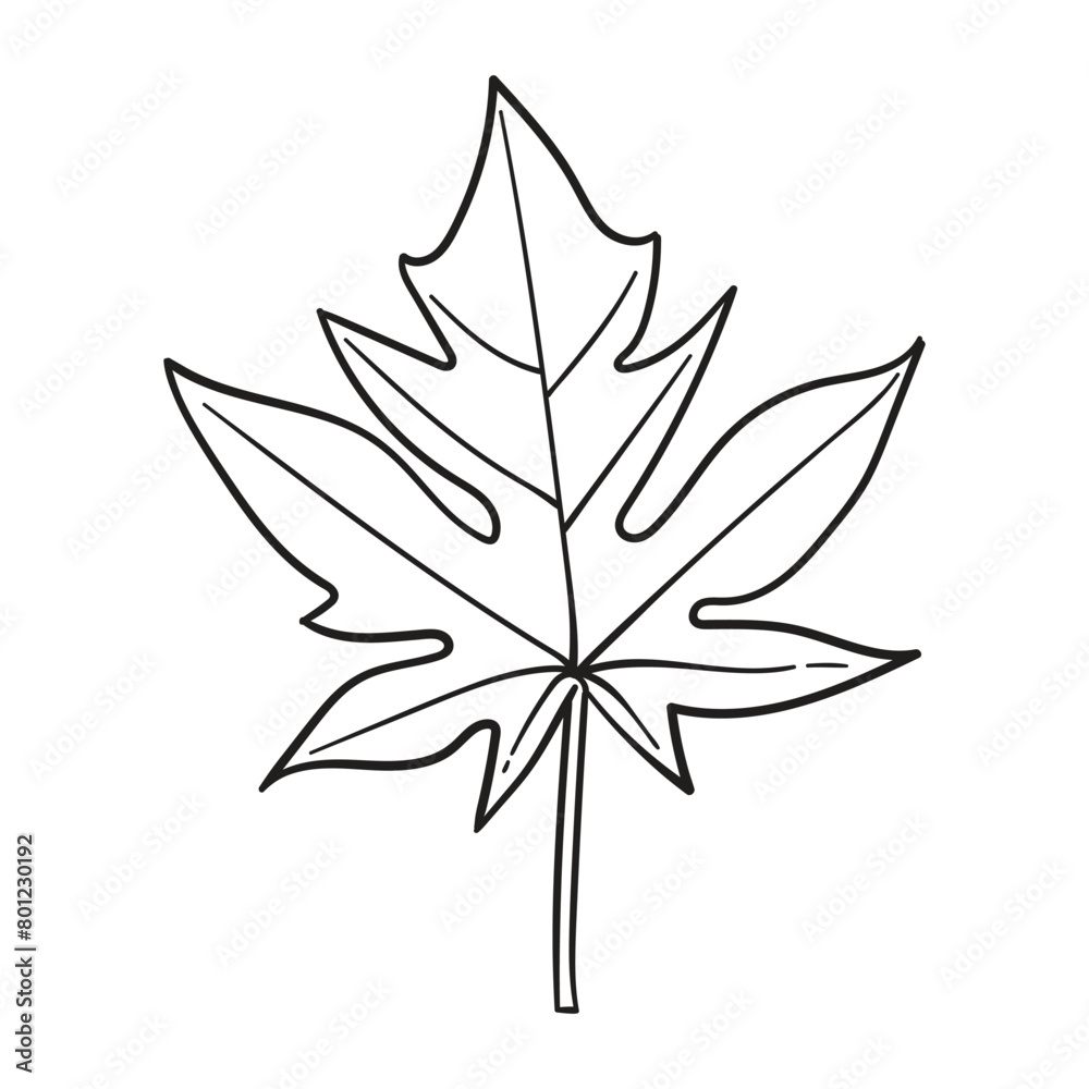 Leaf line art vector hand drawn illustration. Black and white leaves