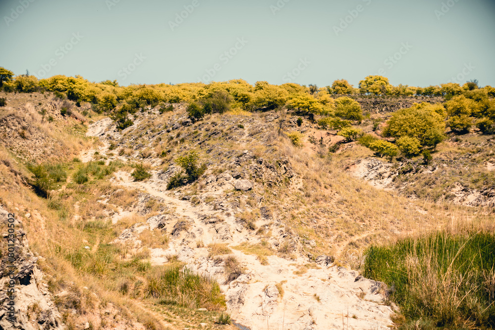 Naklejka premium Beautiful Landscape