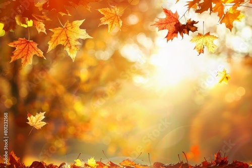 Golden Autumn Leaves in Sunlight