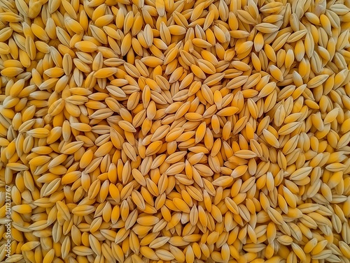 Close-up of golden canola seeds creating a natural textured background. photo