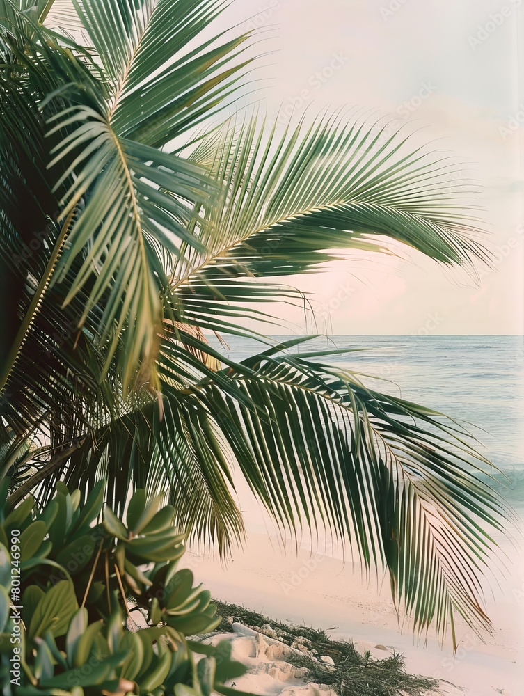Fototapeta premium retro filter colour stylish scheme summertime accent colour close up photograph of tropical plants variety of tree leaf and tropical flower background