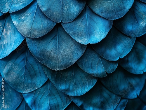 Close-up of overlapping blue feathers creating a textured background.
