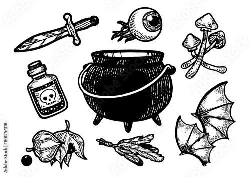 Magical fabulous witch ingredients items sketch engraving PNG illustration. Scratch board style imitation. Hand drawn image.