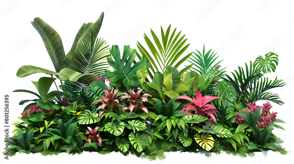 Fototapeta premium Green leaves of tropical plants bush (Monstera, pine, bird’s nest fern ,leaves ) floral arrangement indoors garden nature backdrop isolated on white background 