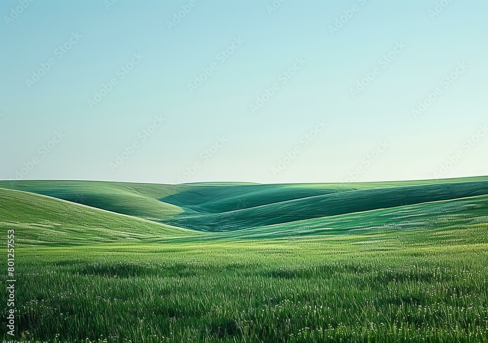 Green rolling hills under blue sky Green rolling hills under blue sky