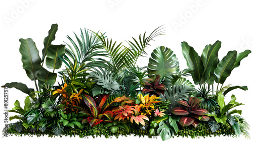 Green leaves of tropical plants bush  Monstera  pine  bird   s nest fern  leaves   floral arrangement indoors garden nature backdrop isolated on white background 