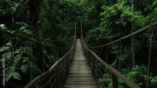 Wooden bridge across the forest with foliage around