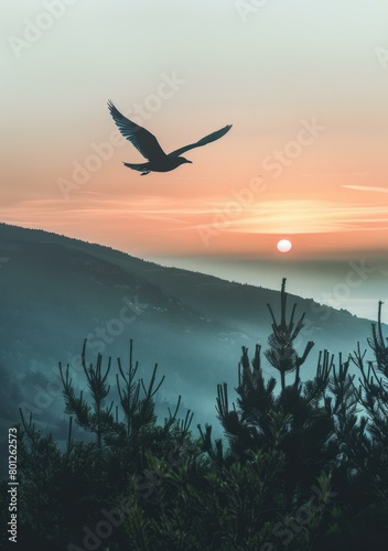 Bird flying over the mountain at sunset