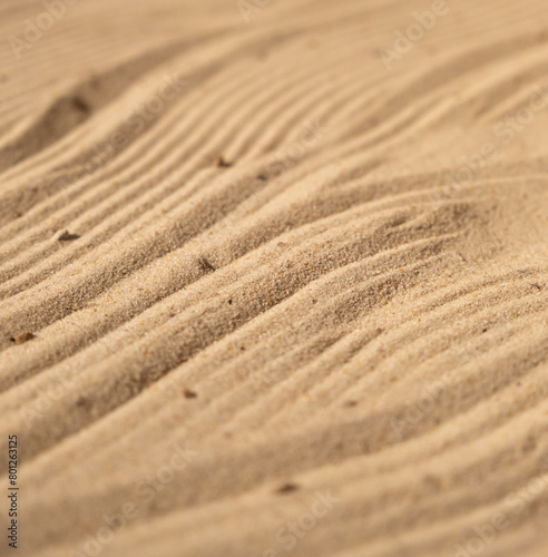 Sand on the beach texture close up