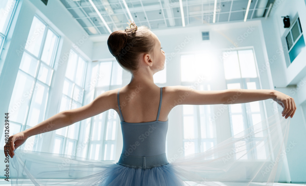girl in a tutu dancing in the ball room girl in a tutu dancing in the ball room