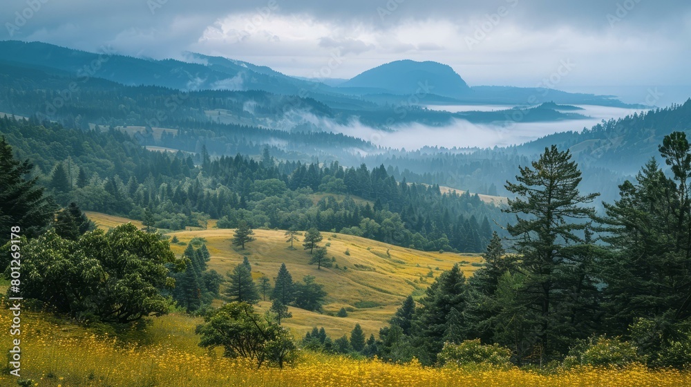 Fototapeta premium Foggy Mountains and Trees Landscape