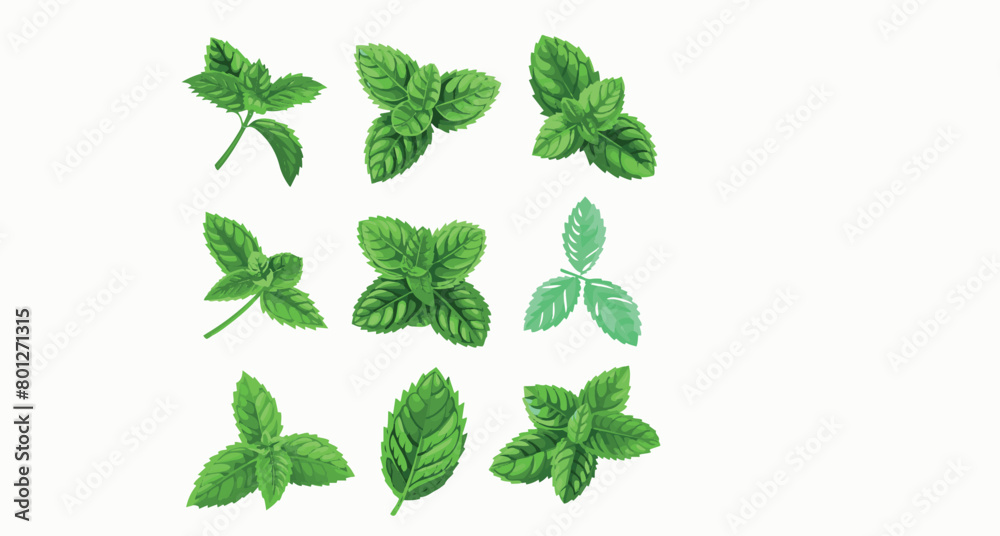 Group of Green Leaves on White Background Group of Green Leaves on White Background