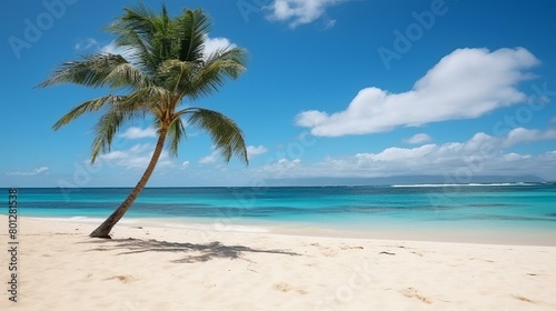 Beach with a Solitary Palm Tree © duyina1990