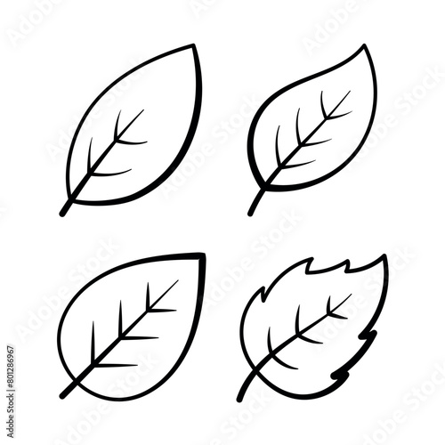 Leaves Set Black Hand Drawn