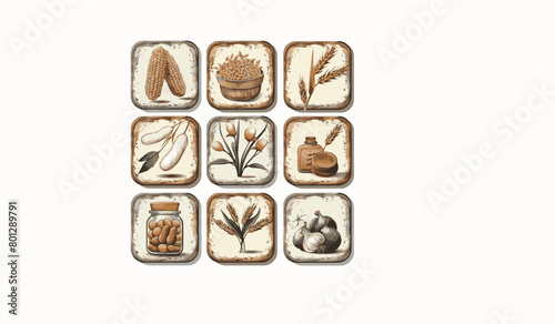 Assorted Food Items on a Plate