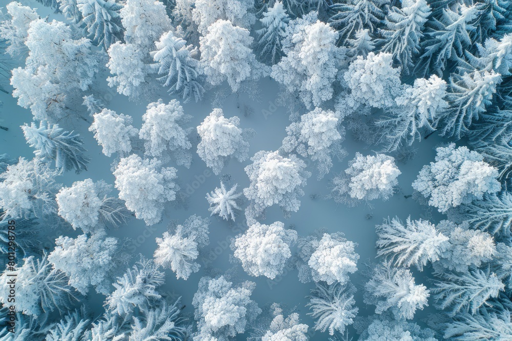 beautiful snow scenery on a sunny day professional photography beautiful snow scenery on a sunny day professional photography