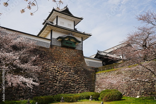 Kanazawa Castle Park with Cherry Blossom in Ishikawa, Japan - 日本 石川県 金沢城公園 金沢城 春の桜 photo