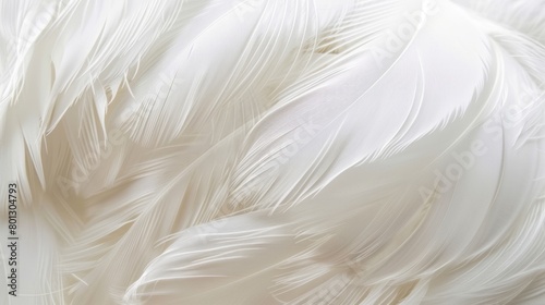 Pure serenity: Close-up view of a white feathery material, inviting you to immerse yourself in its gentle and tranquil essence. photo