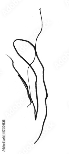 Charcoal Lines on Transparent Background