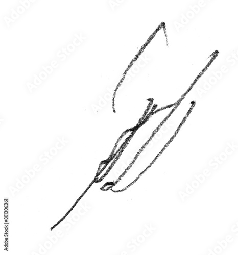 Pencil Scribble on Transparent Background