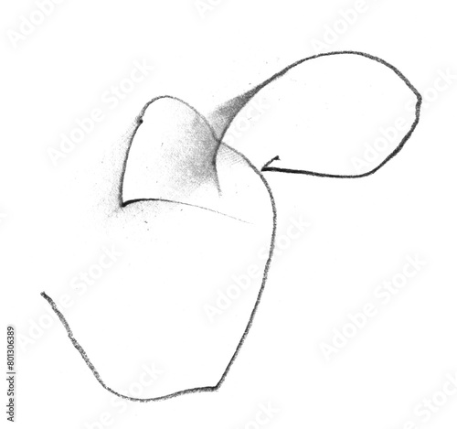 Pencil Scribble on Transparent Background