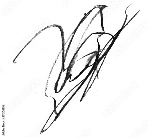 Charcoal Scribbles on Transparent Background