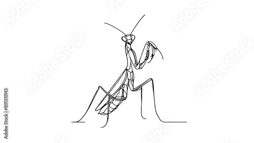 A continuous line drawing of a praying mantis